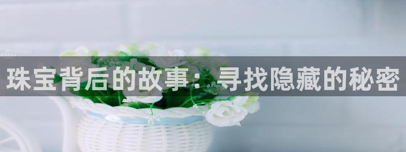 新宝5 888：珠宝背后的故事：寻找隐藏的秘密