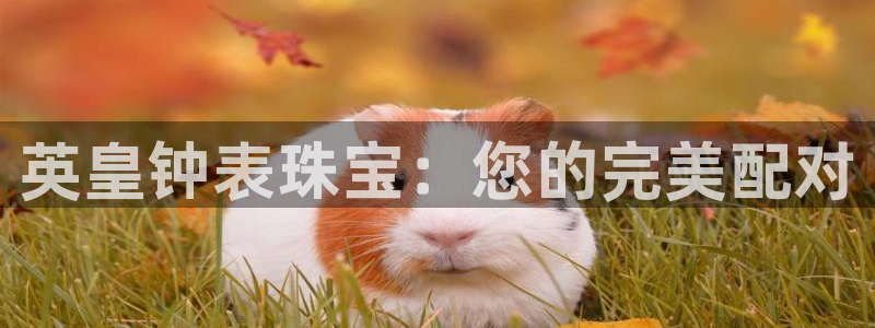 新宝5娱乐学：英皇钟表珠宝：您的完美配对