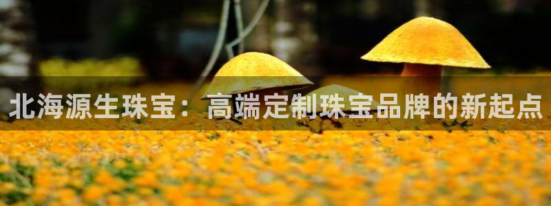 新宝5吴74OOO5：北海源生珠宝：高端定制珠宝品牌的新起点