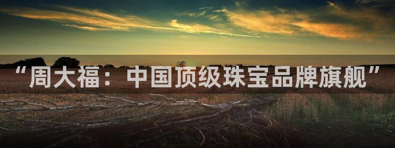 新宝5测速登陆：“周大福：中国顶级珠宝品牌旗舰”