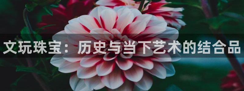 新宝5挂机软件：文玩珠宝：历史与当下艺术的结合品