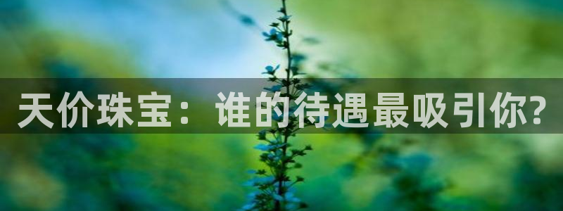 新宝堂新会陈皮5年：天价珠宝：谁的待遇最吸引你?