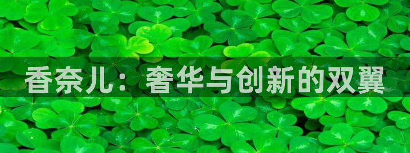 新宝股东瞧听2 5 5：香奈儿：奢华与创新的双翼