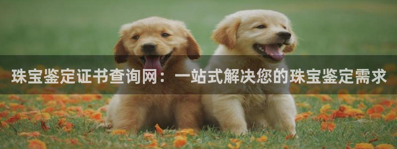 新宝 5测速：珠宝鉴定证书查询网：一站式解决您的珠宝鉴定需求