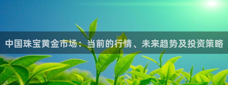 新宝新5：中国珠宝黄金市场：当前的行情、未来趋势及投资策略