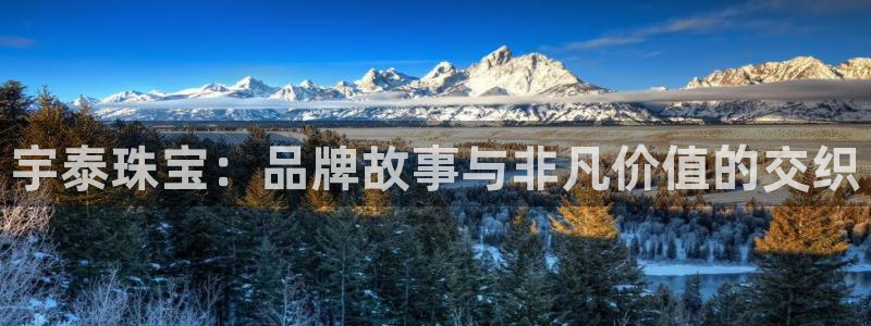 新宝5官网：宇泰珠宝：品牌故事与非凡价值的交织