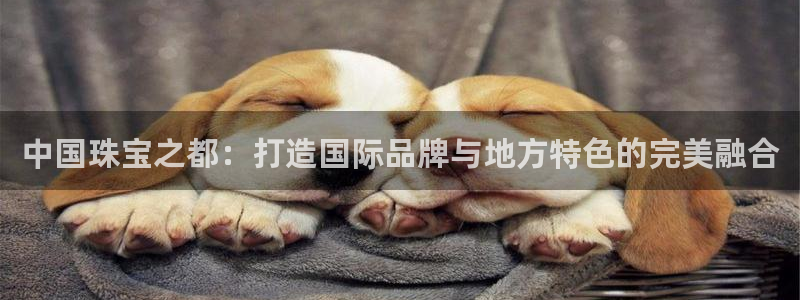 5新宝：中国珠宝之都：打造国际品牌与地方特色的完美融合