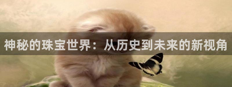 新宝5台卡：神秘的珠宝世界：从历史到未来的新视角