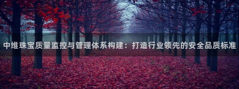 i新宝5：中维珠宝质量监控与管理体系构建：打造行业领先的安全品质标准