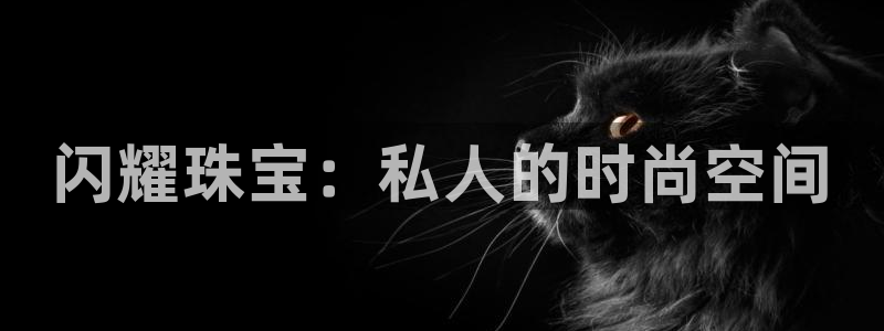 新宝5平台注册公司：闪耀珠宝：私人的时尚空间