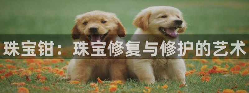 新宝5登录不了：珠宝钳：珠宝修复与修护的艺术