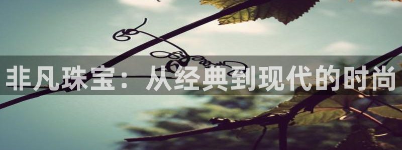 新宝5娱乐注：非凡珠宝：从经典到现代的时尚