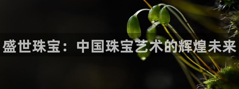 新宝5娱乐没：盛世珠宝：中国珠宝艺术的辉煌未来