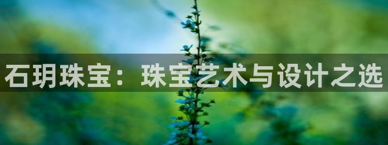 新宝m2O5O5O：石玥珠宝：珠宝艺术与设计之选