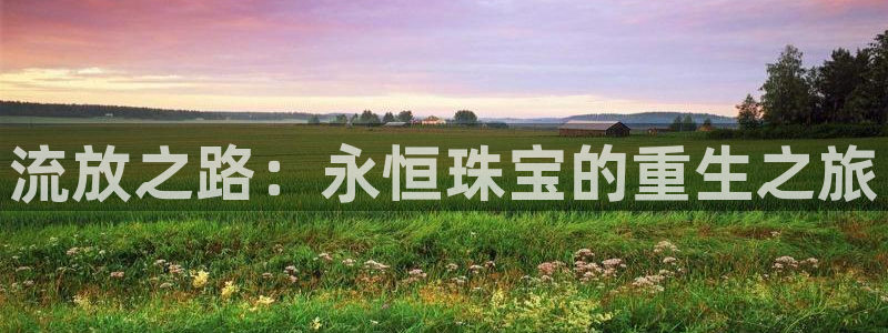 新宝5苹果手机下载：流放之路：永恒珠宝的重生之旅