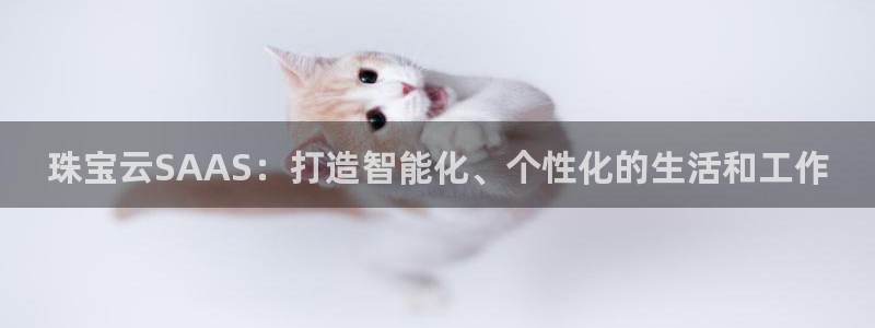 新宝5是谁：珠宝云SAAS：打造智能化、个性化的生活和工作