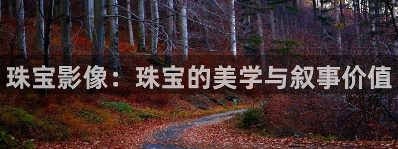 新宝5官方网站：珠宝影像：珠宝的美学与叙事价值