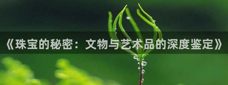 新宝5线路：《珠宝的秘密：文物与艺术品的深度鉴定》